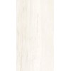 Gạch ốp lát Apodio 60x120 61112060