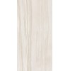 Gạch ốp lát Apodio 60x120 61112061
