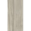 Gạch ốp lát Apodio 60x120 61114061