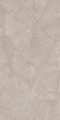 Gạch ốp lát Apodio 60x120 61123013