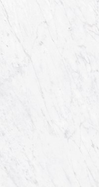 Gạch ốp lát Apodio 60x120 61131005