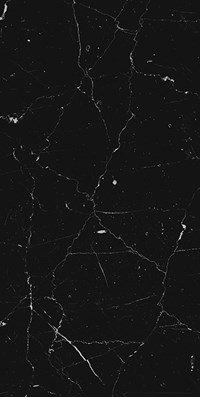 Gạch ốp lát Apodio 60x120 61136009