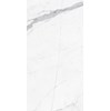 Gạch ốp lát Apodio 60x120 61181026