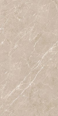 Gạch ốp lát Apodio 60x120 61222011
