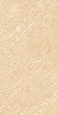 Gạch ốp lát Apodio 60x120 61223011