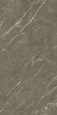 Gạch ốp lát Apodio 60x120 61226011