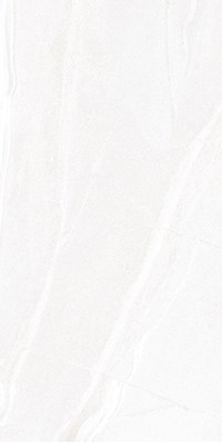Gạch ốp lát Apodio 60x120 61235004