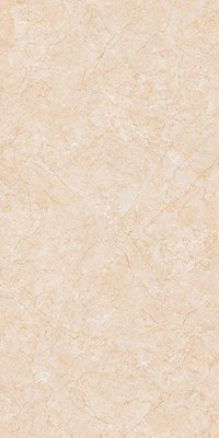 Gạch ốp lát Apodio 60x120 61282042