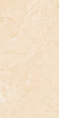 Gạch ốp lát Apodio 60x120 61282044