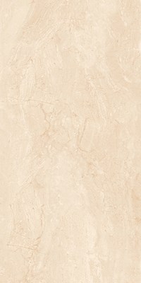 Gạch ốp lát Apodio 60x120 61282050