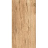Gạch ốp lát Apodio 60x120 61332003