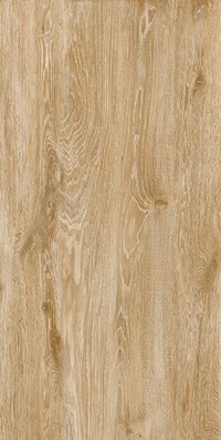 Gạch ốp lát Apodio 60x120 61332204