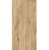 Gạch ốp lát Apodio 60x120 61332204