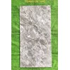 Gạch ốp lát Tasa 60x120 bóng TSA 1640