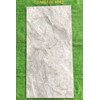 Gạch ốp lát Tasa 60x120 bóng TSA 1643