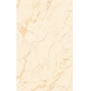 Gạch ốp lát Tasa 60x120 TS1209