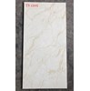 Gạch ốp lát Tasa 60x120 TS1209