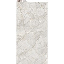 Gạch ốp lát Vitto 60x120 3605