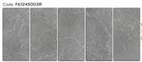 Gạch ốp lát Ý Mỹ 60x120 mờ F61245003R