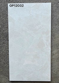 Gạch ốp lát Taicera 60x120 GP12032