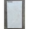 Gạch ốp lát Taicera 60x120 GP12032