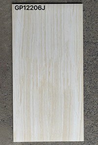 Gạch ốp lát Taicera 60x120 GP12206J