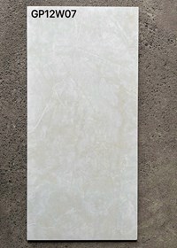 Gạch ốp lát Taicera 60x120 GP12W07