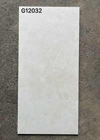 Gạch ốp lát Taicera 60x120 mờ G12032