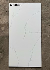 Gạch ốp lát Taicera 60x120 mờ G12085