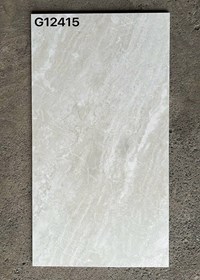 Gạch ốp lát Taicera 60x120 mờ G12415