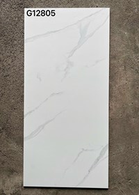 Gạch ốp lát Taicera 60x120 mờ G12805