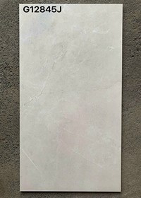 Gạch ốp lát Taicera 60x120 mờ G12845J