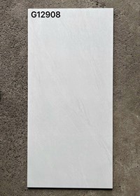 Gạch ốp lát Taicera 60x120 mờ G12908