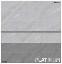 Gạch ốp tường 300x600 Viglacera bán sứ PH3652-3653