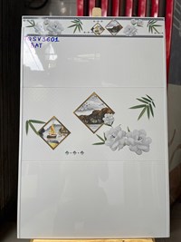 Gạch ốp tường 30x60 giá rẻ TQSV3601