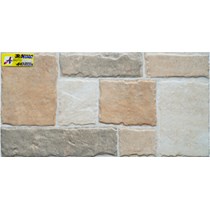 Gạch ốp tường 30x60 JR36020