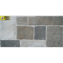 Gạch ốp tường 30x60 JR36021