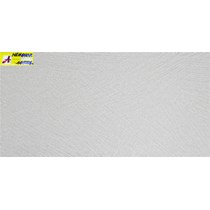 Gạch ốp tường 30x60 NEH6602C