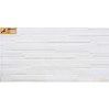 Gạch ốp tường 30x60 RA3661B
