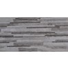 Gạch ốp tường 30x60 RA3663
