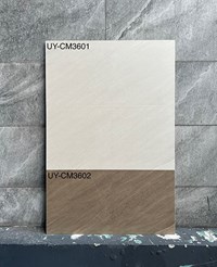 Gạch ốp tường 30x60 Viglacera UY-CM3601-3602