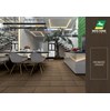 Gạch ốp tường Bạch Mã 30x60 HE36032