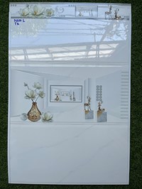 Gạch ốp tường giá rẻ 300x600 36601L-TQ