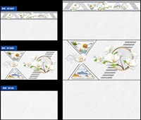 Gạch ốp tường giá rẻ 300x600 BNC36166
