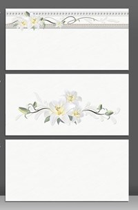 Gạch ốp tường giá rẻ 300x600 Catalan 3905