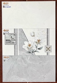 Gạch ốp tường giá rẻ 300x600 EC36048S