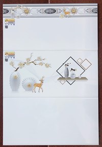 Gạch ốp tường giá rẻ 300x600 G36000SLE