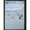 Gạch ốp tường giá rẻ 300x600 HR3600V