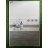 Gạch ốp tường giá rẻ 300x600 LB3686