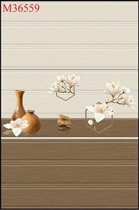 Gạch ốp tường giá rẻ 300x600 M36559